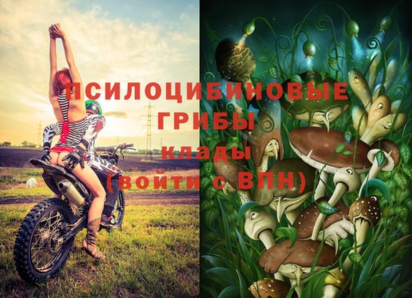 прущие крисы Алзамай