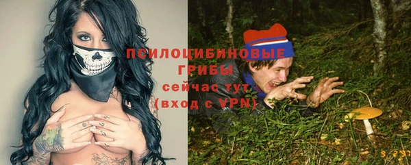 прущие крисы Алзамай