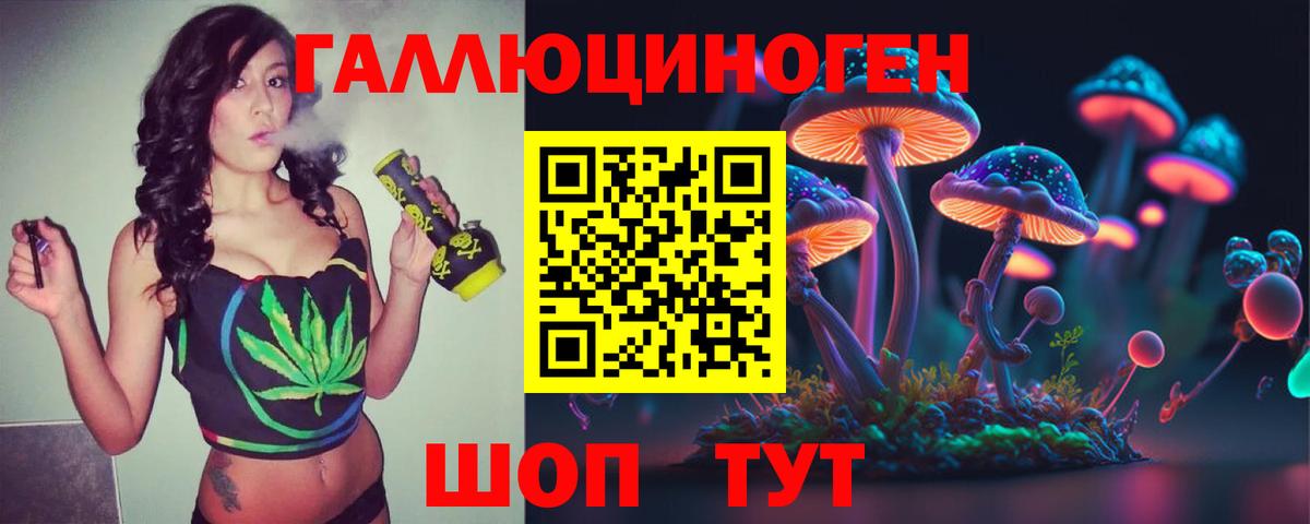 цена наркотик  Вход с VPN  Коломна  Псилоцибиновые грибы Psilocybine cubensis 