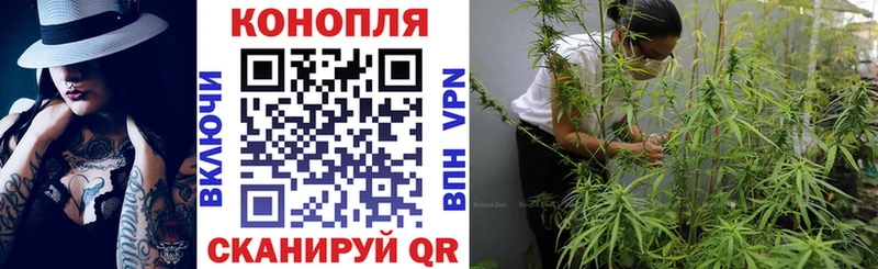 Конопля марихуана  Коломна 